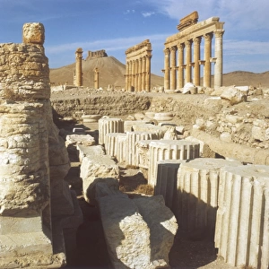 Syria / Palmyra / Colonnade