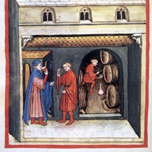 Tacuinum Sanitatis. Wine cellar