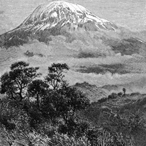 Tanzania / Kilimanjaro