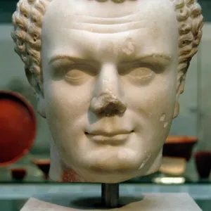 Titus Roman Emperor Marble Print 70-80 AD Titus Roman Emperor Marble Print 70-80 AD