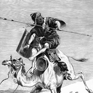 Tuareg Warrior - North Afrca