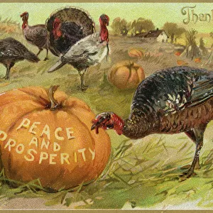 Turkey at Thanksgiving