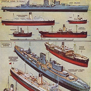 Some types of model ships