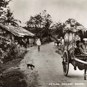 Typical village scene, Ceylon (Sri Lanka)