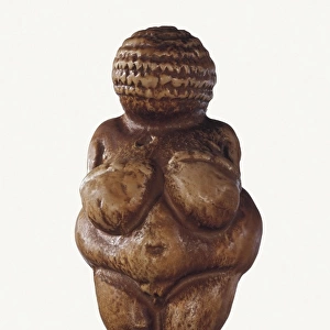 Venus of Willendorf. Paleolithic art