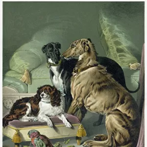 Animals Glass Place Mat Collection: Dogs
