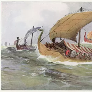 Viking Raiding Fleet