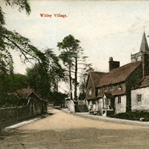 The Village, Witley, Surrey