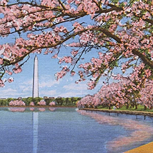 Washington DC, USA - Washington monument