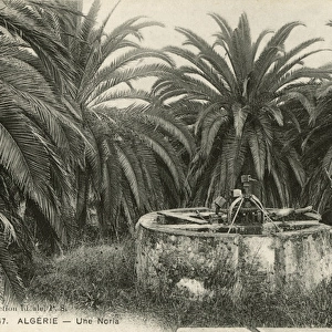 A waterwheel, Algeria