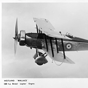 Westland Wallace British biplane