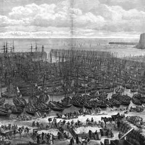 Wick Harbour Herring Fishing Print, 1875 Wick Harbour Herring Fishing Print, 1875