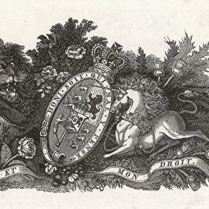 William Ivs Coat Arms
