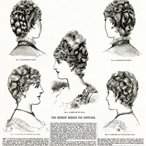 Womens hairstyles 1886