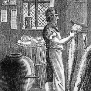 Wool-Comber Wool-Comber