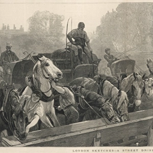 Working horses drinking at a trough, London