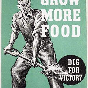 WW2 poster, Grow more food, dig for victory