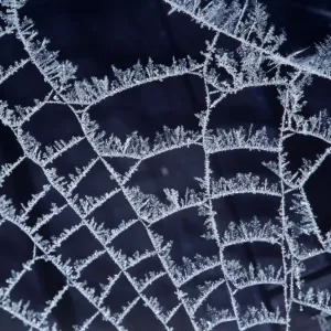 Frost on Spider's Web Print, AL-2932 Frost on Spider's Web Print, AL-2932