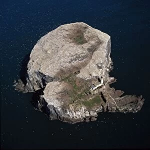 Aerial image of Scotland, UK: Bass Rock (The Bass), Volcanic plug of Phonolite in the Firth of Forth, near Auldhame, East Lothian. Home to more than 150, 000 Gannets and is the largest single rock gannetry in the world