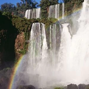 Argentina BLT 384 Iguazu falls, Subtropical Rainforest, Misiones Province. © Yves Bilat / ARDEA LONDON