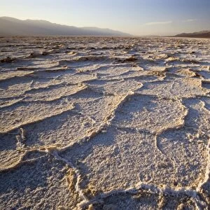 Badwater - rough salt crusts in the salt flats of Badwater, the lowest point in the whole US, at early morning - Death Valley National Park, California, USA