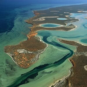 Big Lagoon, Shark Bay Western Australia JPF43573