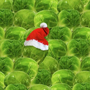 Brussels sprout - one with Christmas hat