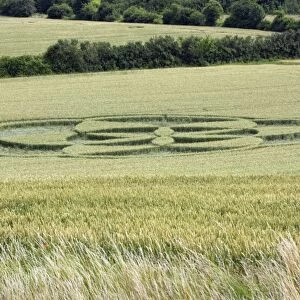 Crop Circle - in cornfield, Lower Saxony, Germany