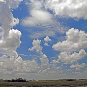 Cumulus clouds developing over Shark Valley, Everglades National Park, Florida, USA