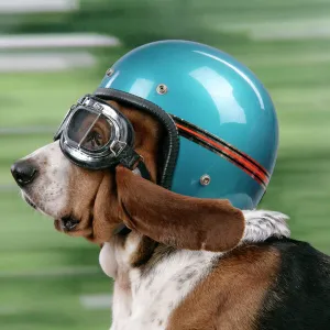 Dog sale biker goggles
