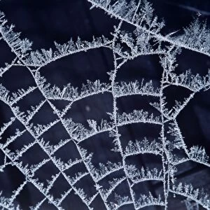 Frost on Spider's web