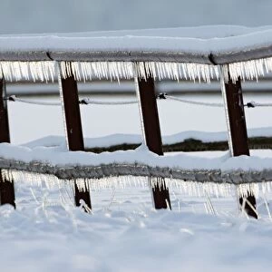 Icicles - hanging down from fence in winter - Lower Saxony - Germany
