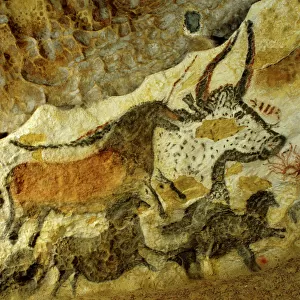 Lascaux cave painting Period: Paleolithic, c. 18, 000 years ago, Vezere Valley, Dordogne, France JFL00048
