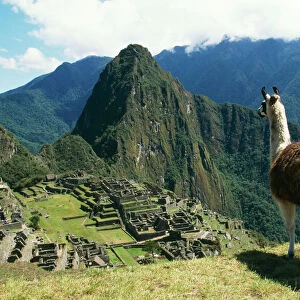 Peru Heritage Sites Metal Print Collection: Machu Picchu