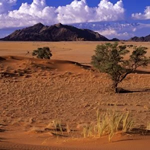 Namib desert view from Elim dune towards the Naukluft Mountains Namib Naukluft Park, Namibia, Africa