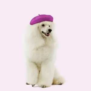 White Poodle Print in French Beret White Poodle Print in French Beret
