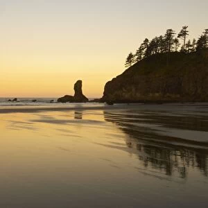 Offsore Sea Stacks Second Beach, Olympic National Park, Washington State USA LA001608