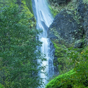 Oregon, Columbia River Gorge National Scenic Area, Starvation Creek Falls Date: 28-10-2020