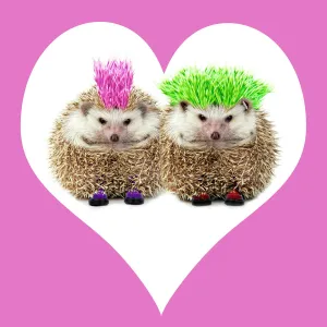 Special Days Metal Print Collection: Valentine's Day