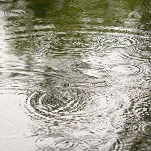 Raining - rain drops on pond summer 2007. Norfolk UK