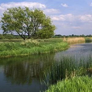 River - Houghton & Hemingford meadow walks on ouse valley. Special site of scientific interest