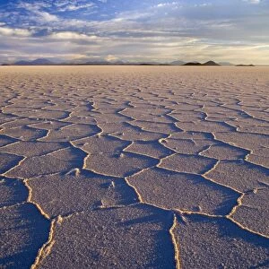 Salar de Uyuni - polygonal salt pattern on dried up salt lake at sunset - Salar de Uyuni - Altiplano - Bolivia - South America
