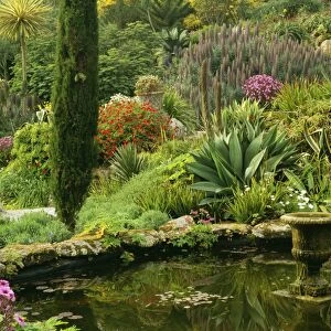 Scilly Isles - Pool & Garden. Many plants not grown in UK, but flourishing in micro-climate of Scilly Isles. Abbey Gardens Tresco