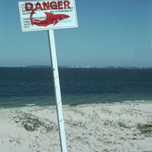 Shark Warning sign - these signs are off most swimming beaches. This one is aimed at tourists who do not speak english. Brighton Beach, NSW Australia