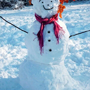 Snowman - with scarf in winter scene Digital Manipulation: tidied face & arm, added buttons
