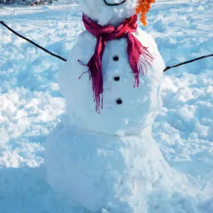 Snowman - with scarf in winter scene Digital Manipulation: tidied face & arm, added buttons