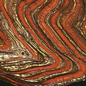 Tiger Iron FG 12048 (Branded Iron Ore, Hematite, Jasper, Tiger's eye) ORD Ranges, Western Australia, Archean: 2, 400 - 2, 800 Million years old. © Francois Gohier / ARDEA LONDON