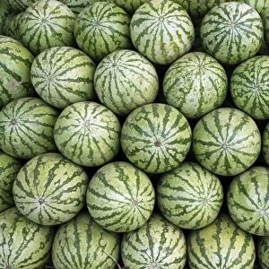 Water melons for sale in India (but cultivated widely elsewhere). Originally from tropical Africa