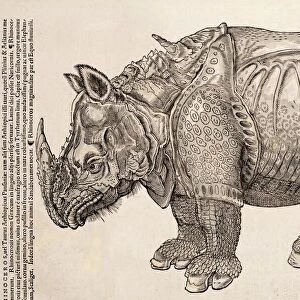 1551 Gesner armoured rhino after Durer