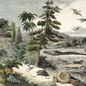 1833 Penny Magazine extinct animals crop